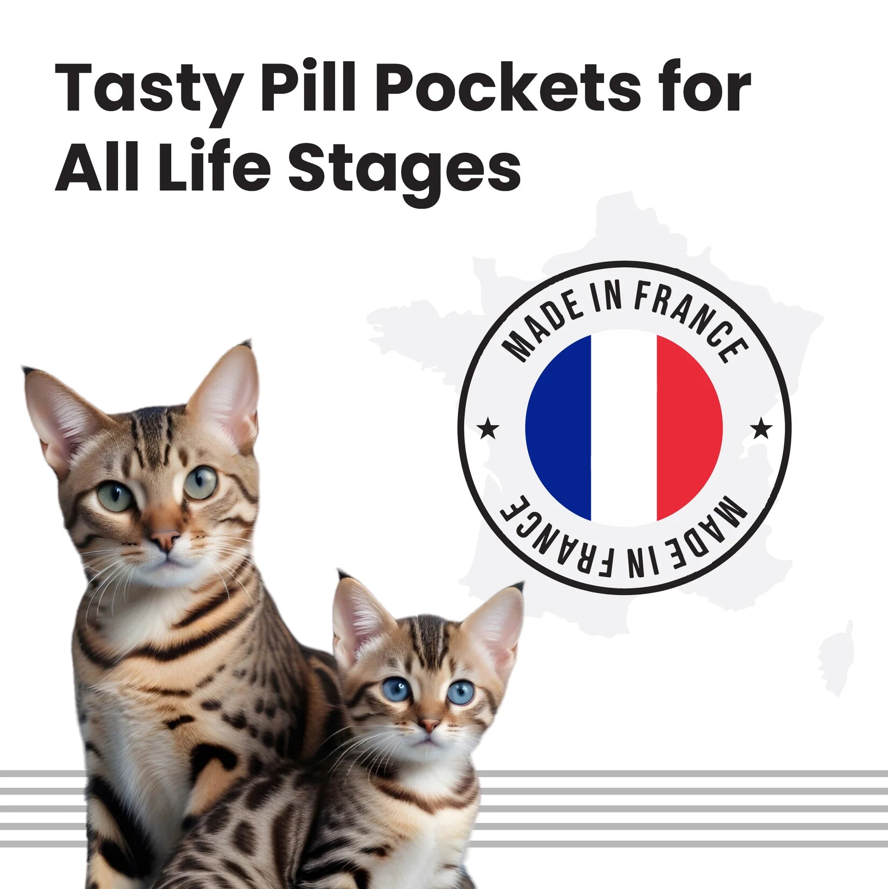 Bark Out Loud Anti Anxiety Easy Pill for Cats