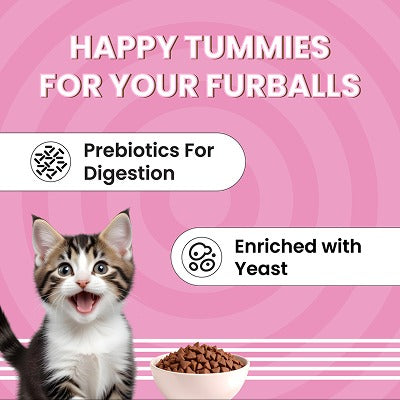 Bark Out Loud Essentials Real Fish Kitten Dry Food