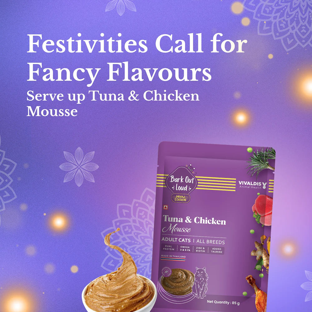 Bark Out Loud Festive Gift Box for Cats