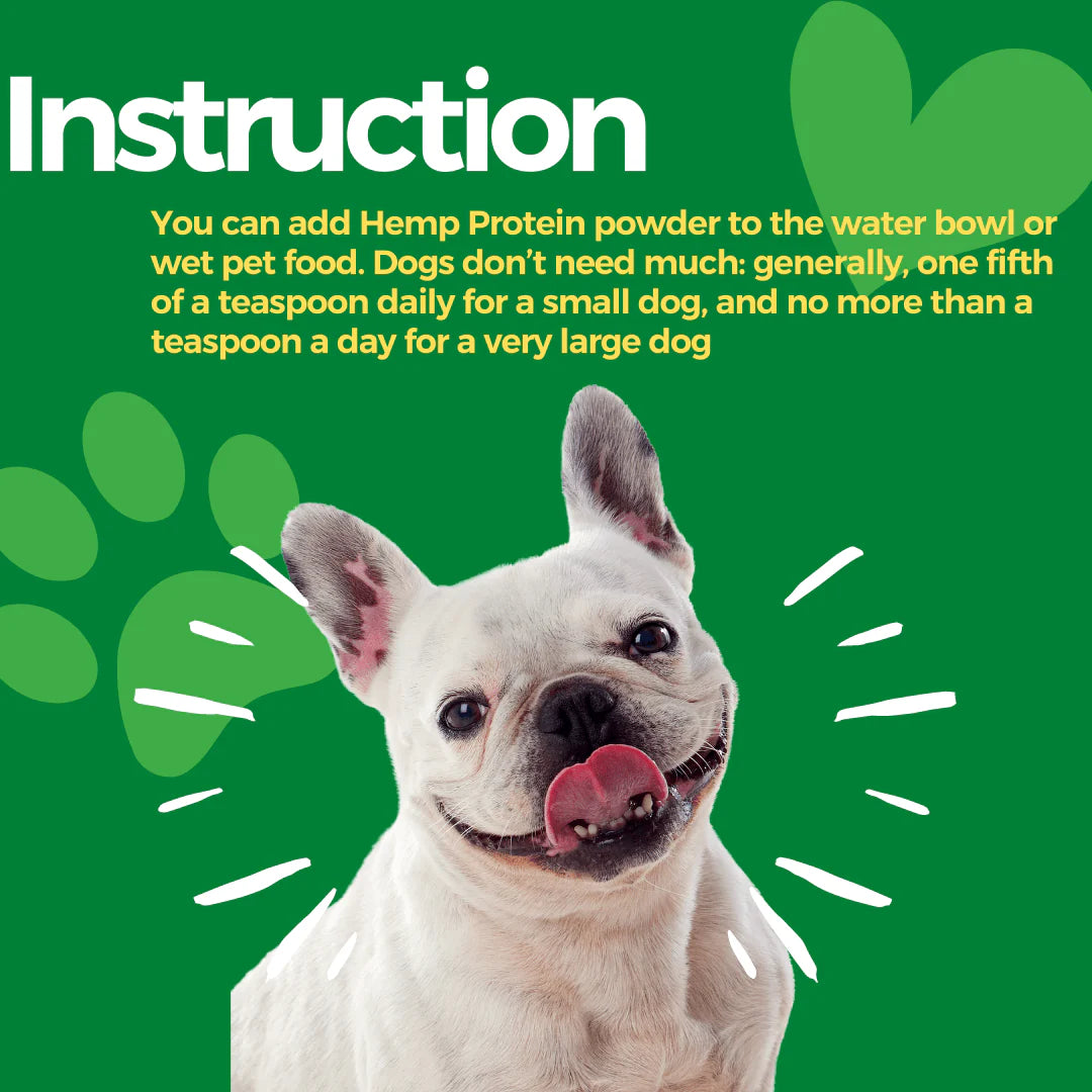 Healing Leaf Hemp Protien Powder for Pets and Fresh For Paws Eggstravaganza Dog Wet Food Combo