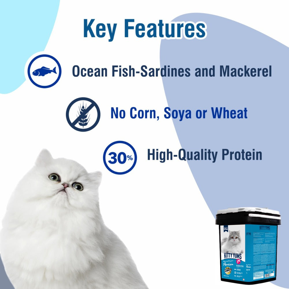 Kitty Yums Ocean Fish Persian Cat Dry Food