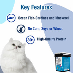 Kitty Yums Ocean Fish Persian Cat Dry Food