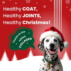 Bark Out Loud Collagen Protein Bar Chicken & Fish Treat for Dogs (Christmas Edition)
