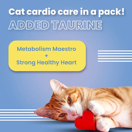 Bark Out Loud by Vivaldis Hairball Control Pillow Cat Treats