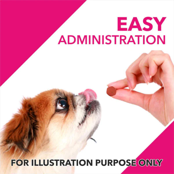 Drools Absolute Skin & Coat and Absolute Calcium Dog Supplement Tablets Combo