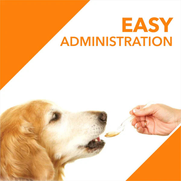 Drools Absolute Salmon Oil Syrup Supplement and Vitamin Supplement Tablets for Dogs Combo