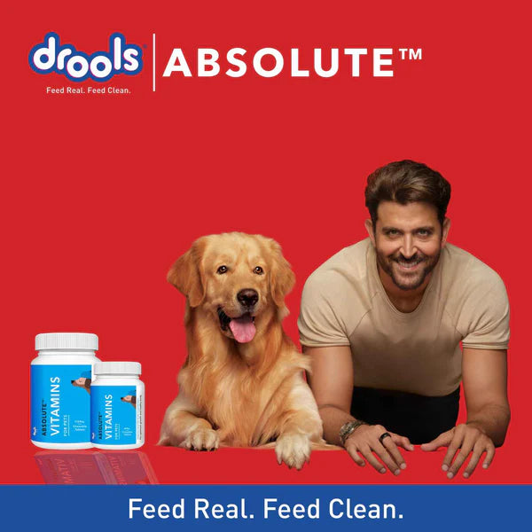 Drools Absolute Salmon Oil Syrup Supplement and Vitamin Supplement Tablets for Dogs Combo