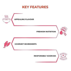 Sheba Fish with Sasami Premium Cat Wet Food and Salmon Flavour Irresistible All Life Stages Cat Dry Food Combo