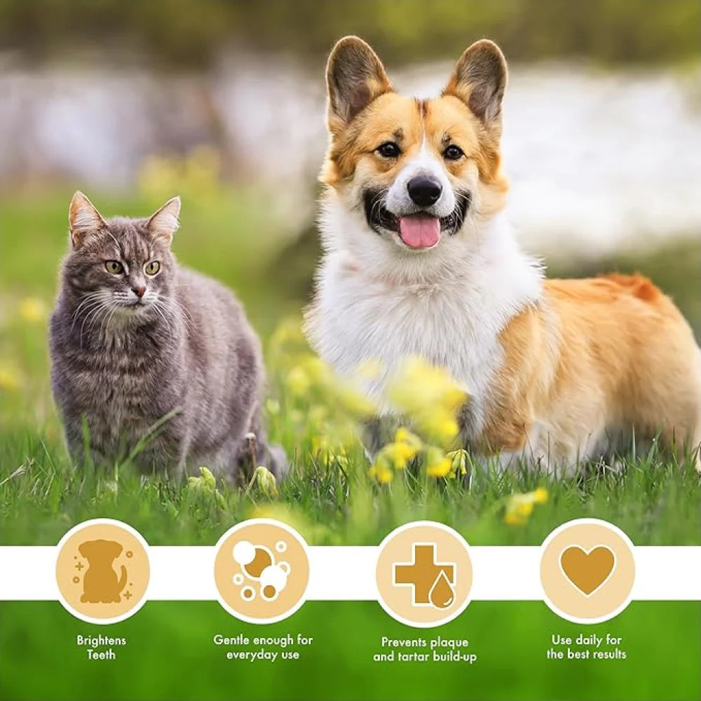 Petkin Peanut Butter Plaque Gel for Dogs and Cats