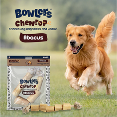 Bowlers Chewrope Abacus Functional Dog Treat Toy