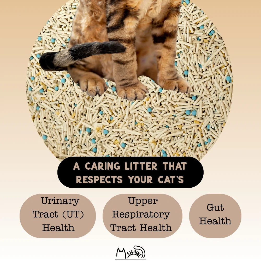 Gishiki Health Pro Premium Tofu Unscented Cat Litter with Add Ins