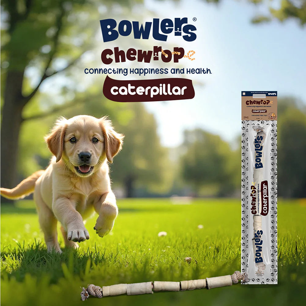 Bowlers Chewrope Caterpillar Functional Dog Treat Toy