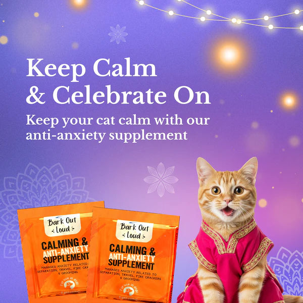 Bark Out Loud Festive Gift Box for Cats