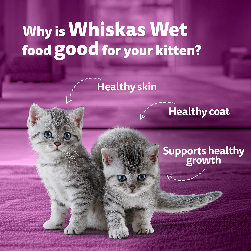 Whiskas Junior Mackerel Flavour Kitten (2-12 months) Cat Wet Food