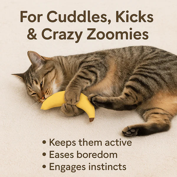 Talking Dog Club Bananas with 100% Catnip Toy for Cats (Yellow)
