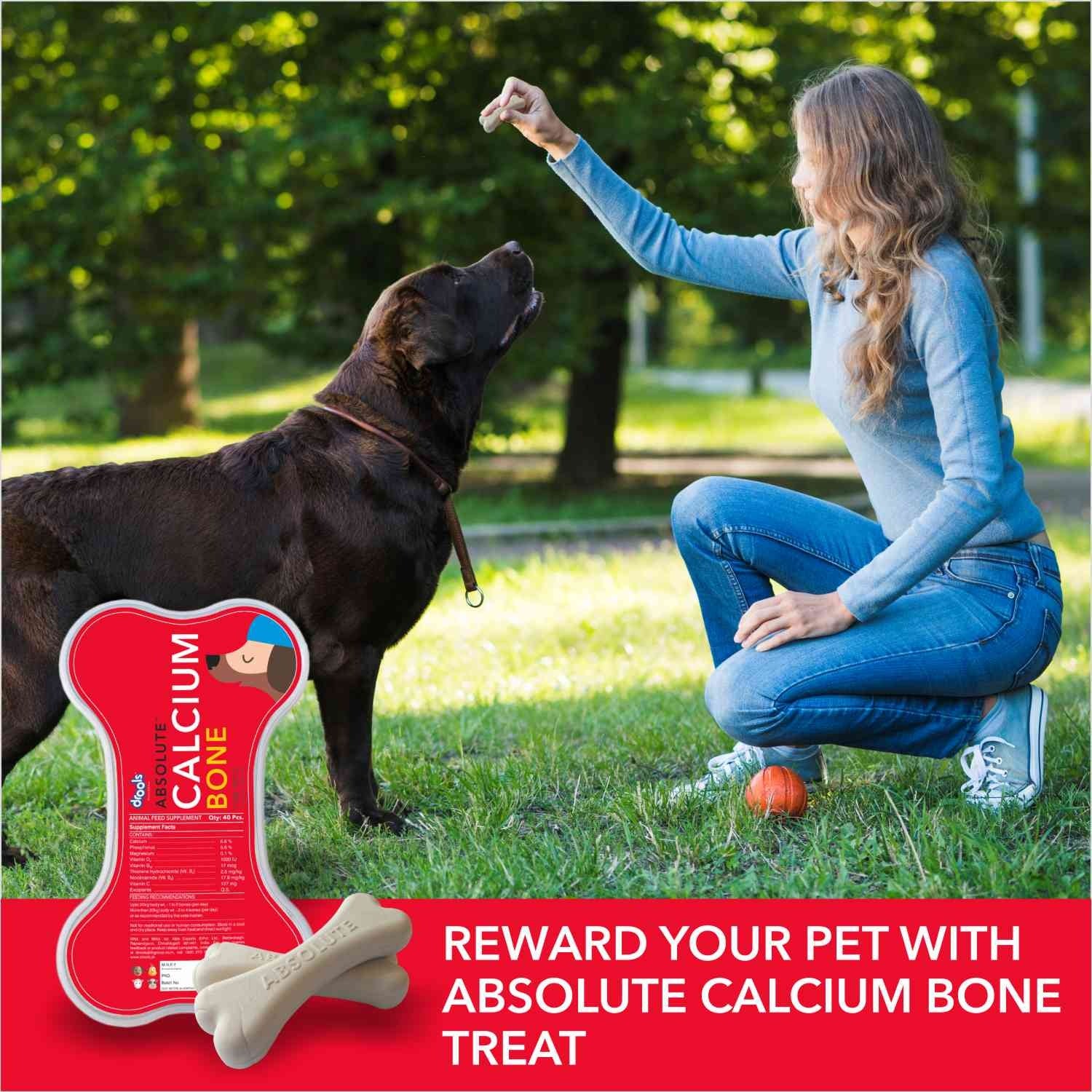 Drools Absolute Calcium Bone Treats with Pet Vogue Rubber Bone Chew Toy Combo for Dogs