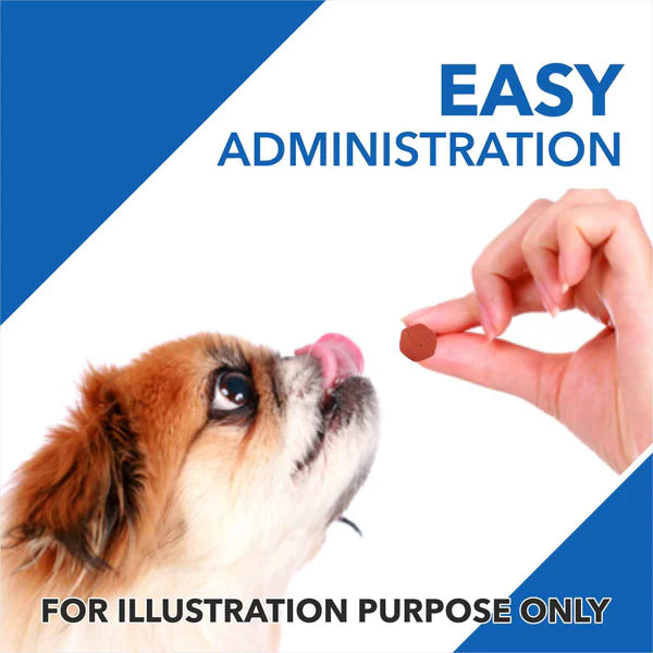 Drools Absolute Vitamin And Skin & Coat Supplement Tablets for Dogs Combo