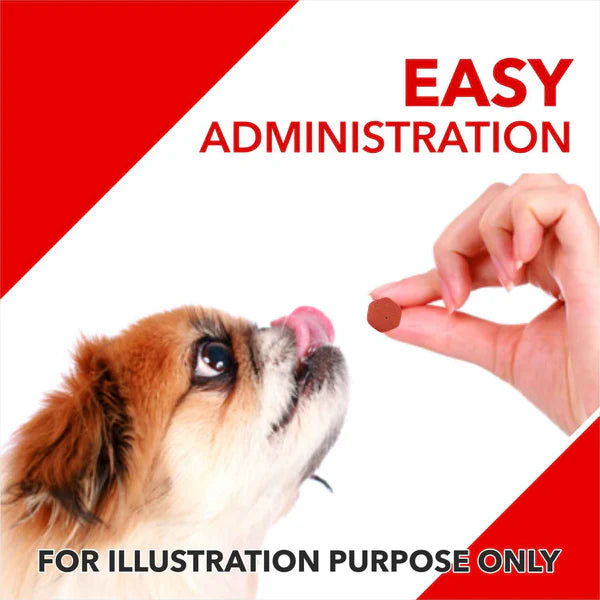 Drools Absolute Skin & Coat and Absolute Calcium Dog Supplement Tablets Combo