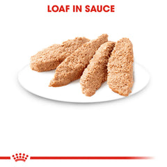Royal Canin Instinctive Adult Loaf Cat Wet Food