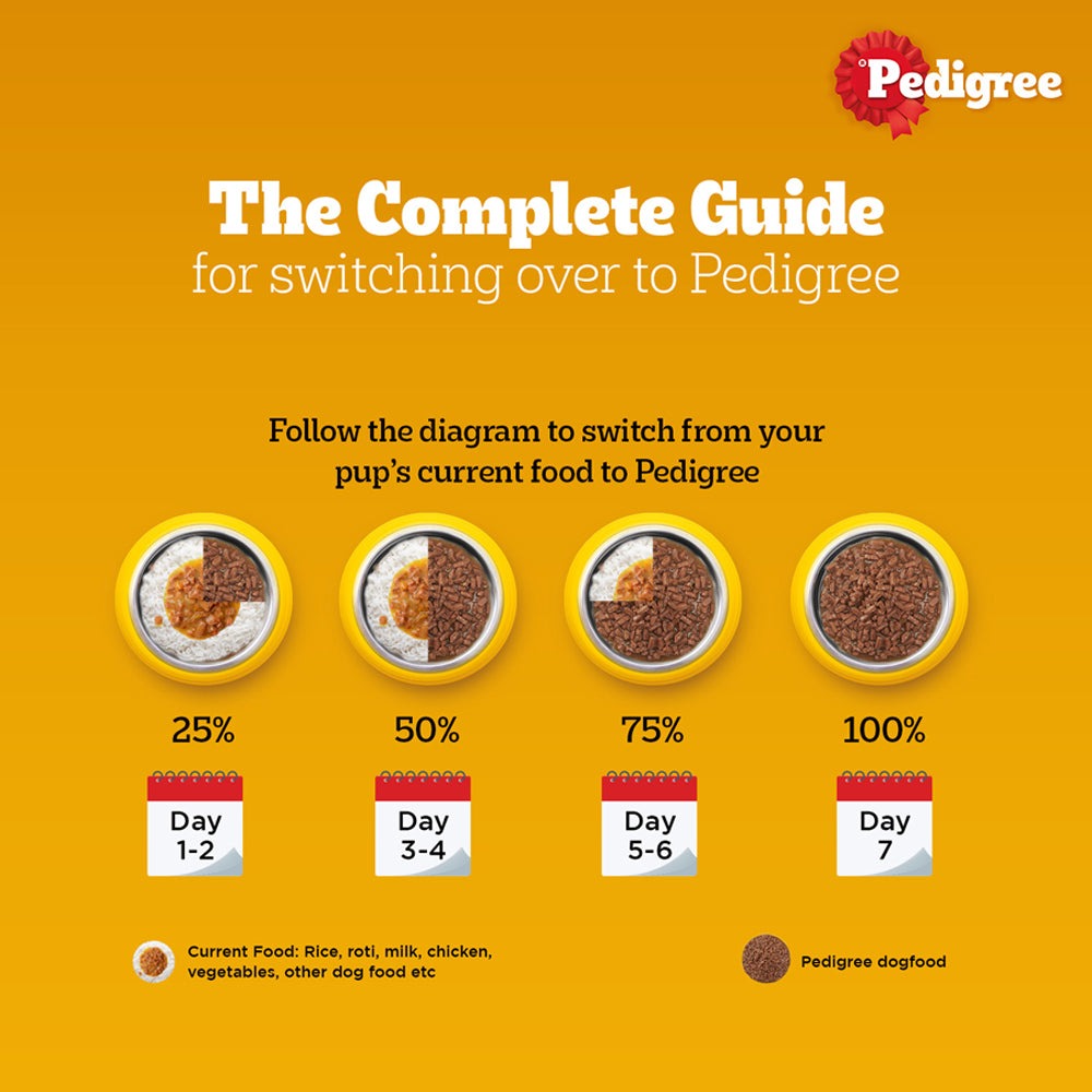 Pedigree PRO Expert Nutrition Active Adult (18 Months Onwards) Large Breed and Chicken and Liver Chunks in Gravy Wet Adult Dog Food Combo