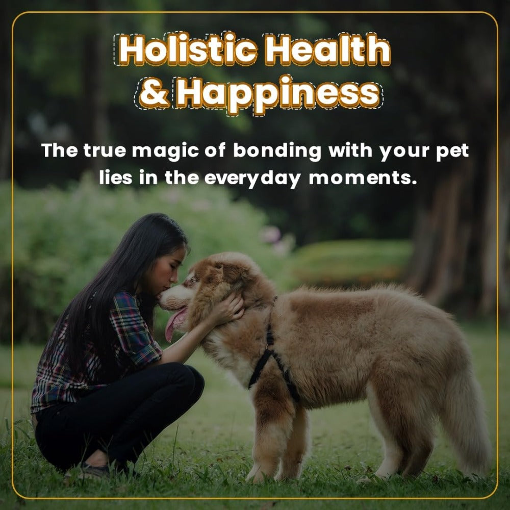 Bark Out Loud Immunity Multi Vitamin Chew Stix and Henlo Chicken Pops Dog Treats Combo
