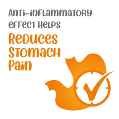 Vivaldis Entero Secure BD Tablet for Dogs and Cats