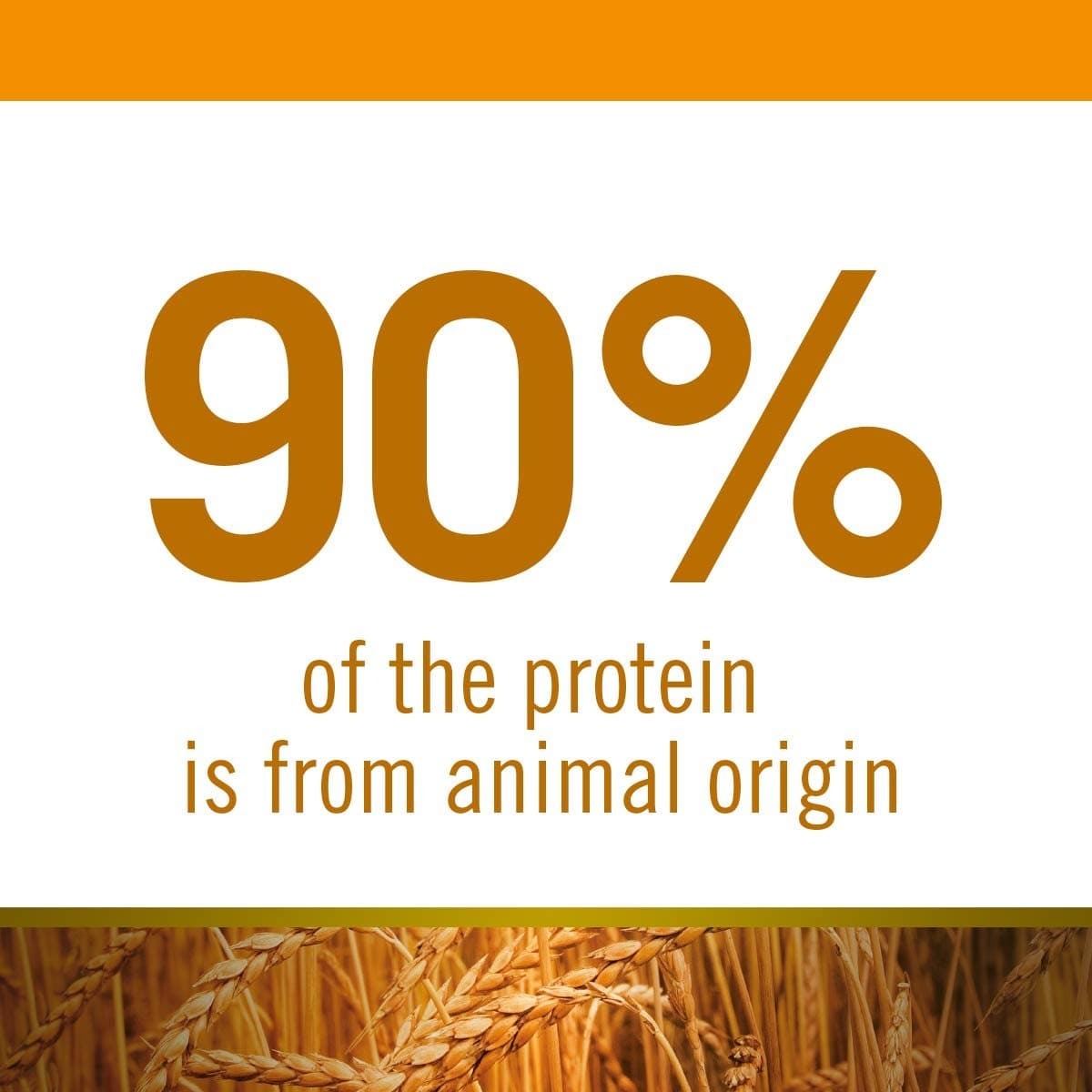 Farmina N&D Chicken & Pomegranate Adult Medium Maxi Dog Dry Food