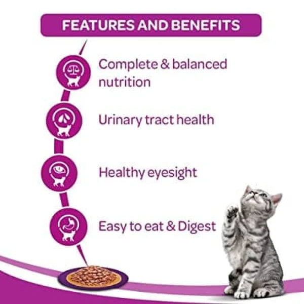 Whiskas Salmon in Gravy Meal and Chicken With Salmon Wakame Seaweed in Gravy Tasty Mix Adult Cat Wet Food Combo