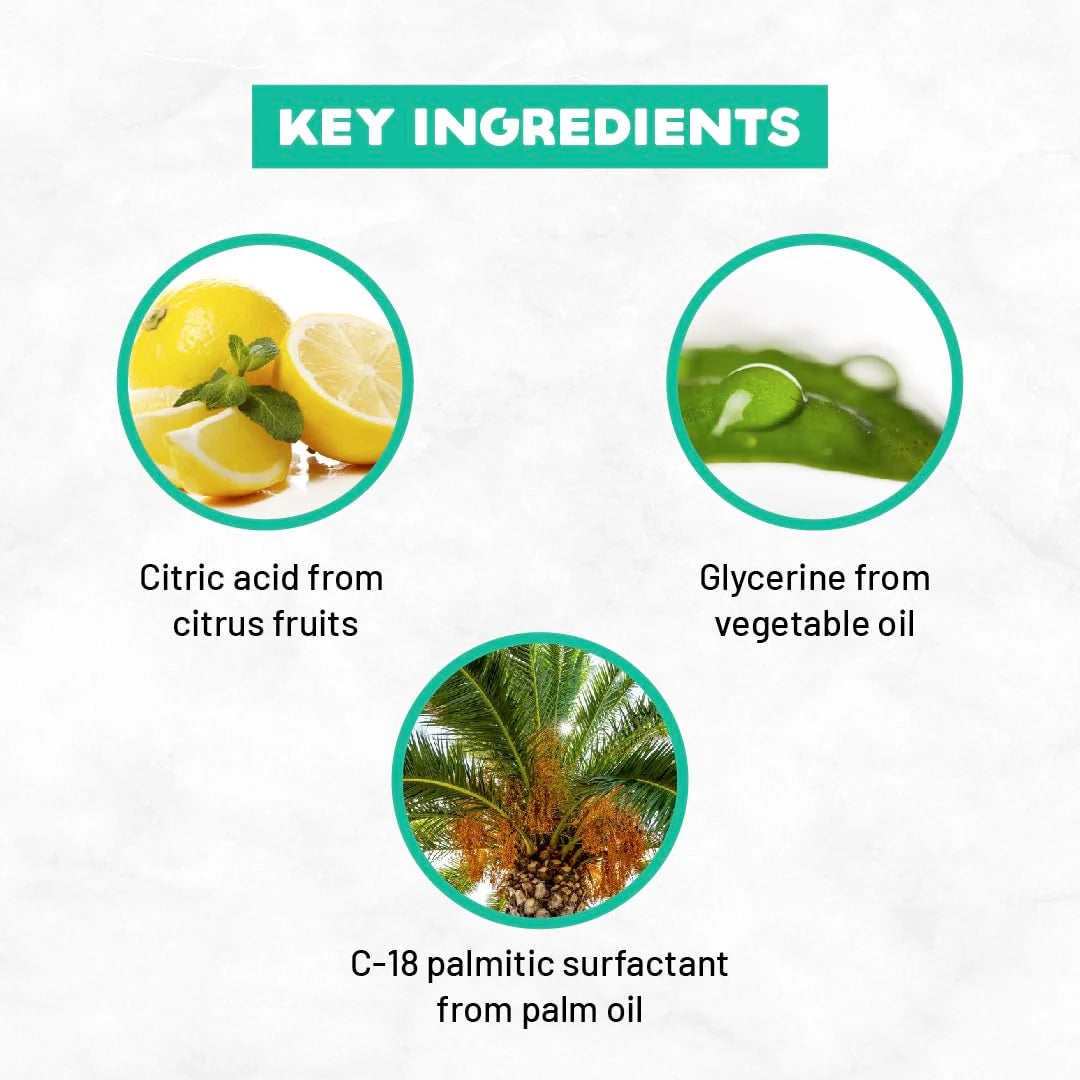 Born Good Plant Based Pet Safe Fragrance Liquid Laundry Detergent