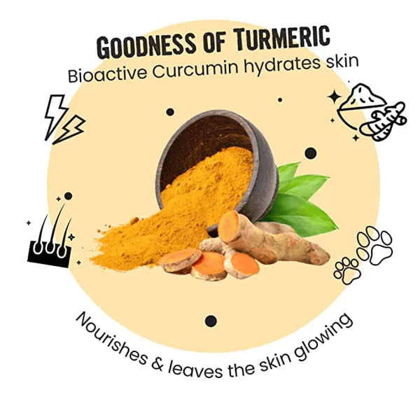 Healing Leaf Hemp Hearts and Bark Out Loud Glow and Shine Turmeric Chew Stix for Dogs and Cats Combo