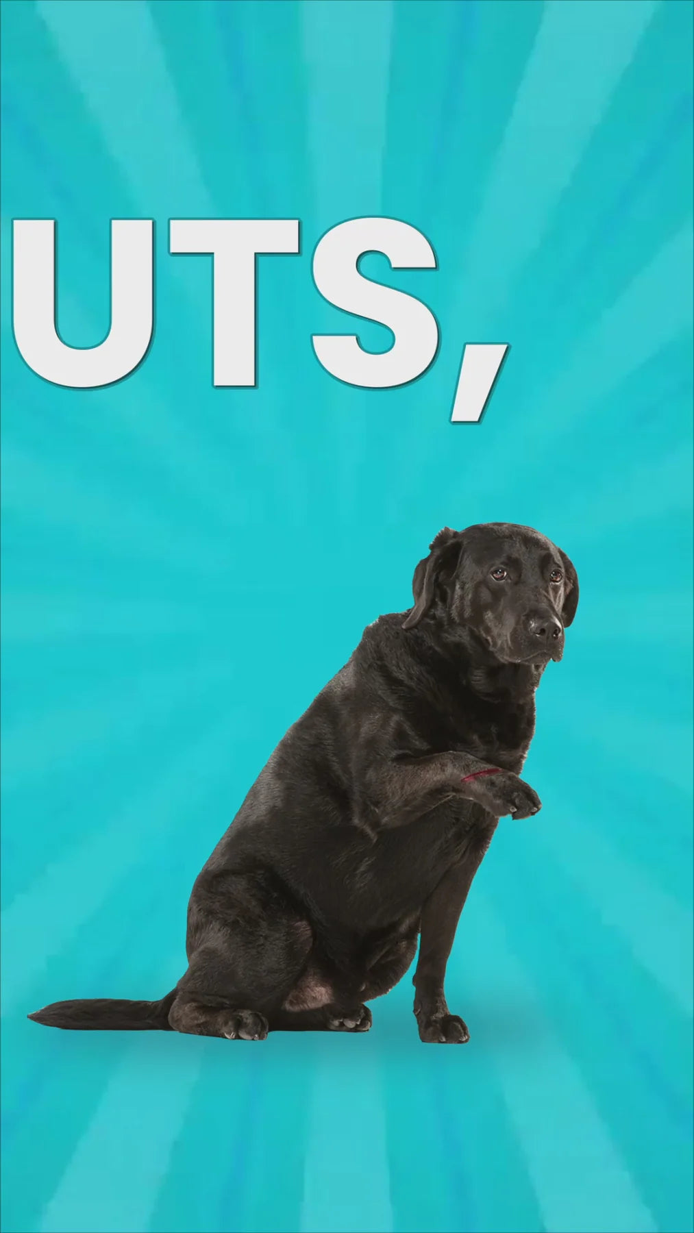 Bark Out Loud Anti Microbial Skin Spray for Dogs and Cats