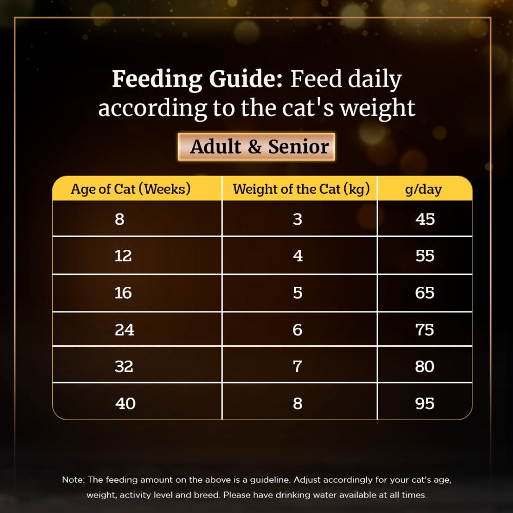 Sheba Salmon Flavour and Chicken Flavour Irresistible All Life Stage Cat Dry Food Combo