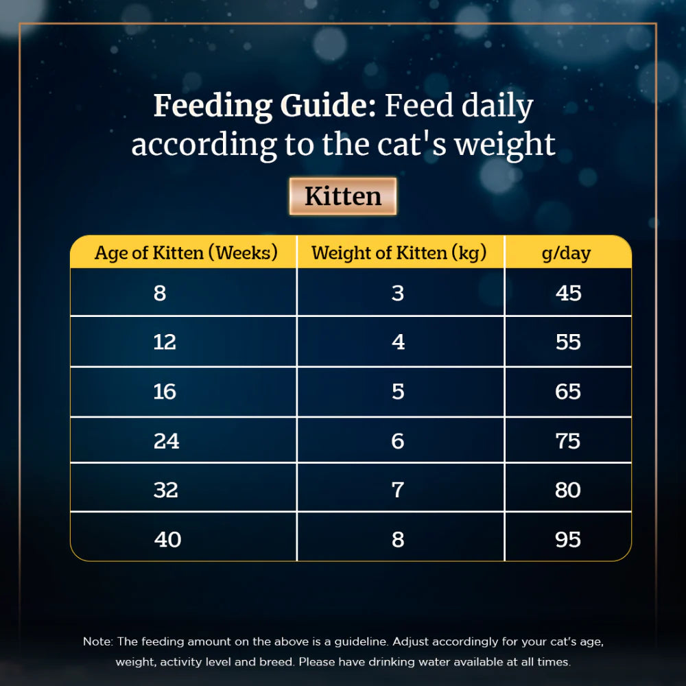 Sheba Complete Nutrition Tuna White Meat & Snapper In Gravy Cat Wet Food and Salmon Flavour Irresistible Cat Dry Food Combo