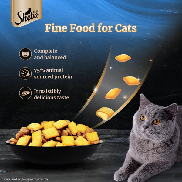 Sheba Skipjack & Salmon Fish Mix Cat Wet Food and Salmon Flavour Irresistible All Life Stages Cat Dry Food Combo