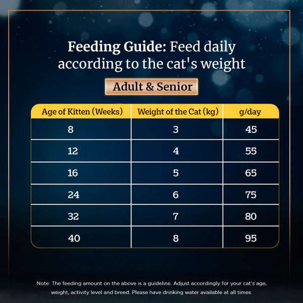 Sheba Skipjack & Salmon Fish Mix Cat Wet Food and Salmon Flavour Irresistible All Life Stages Cat Dry Food Combo