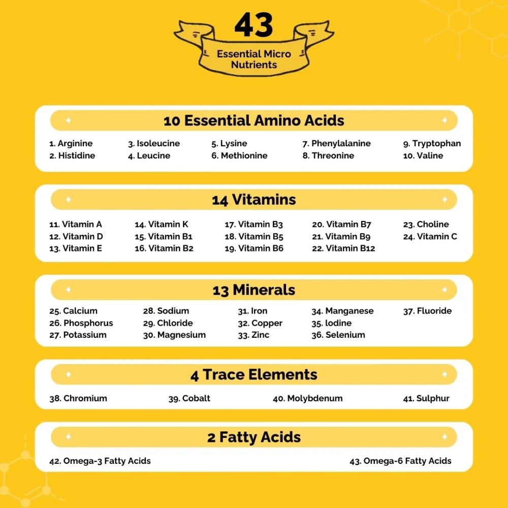 PetStrong Chicken and Rice Fresh Food for Dogs