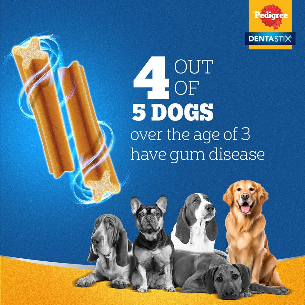 Pedigree Dentastix Oral Care for Adult (Medium Breed of 10 to 25 kg) Treats, Fofos Avocado Treat Toy and Drools Non Toxic Rubber Stud Spike Hard Ball Chew Teething Toy for Dogs Combo
