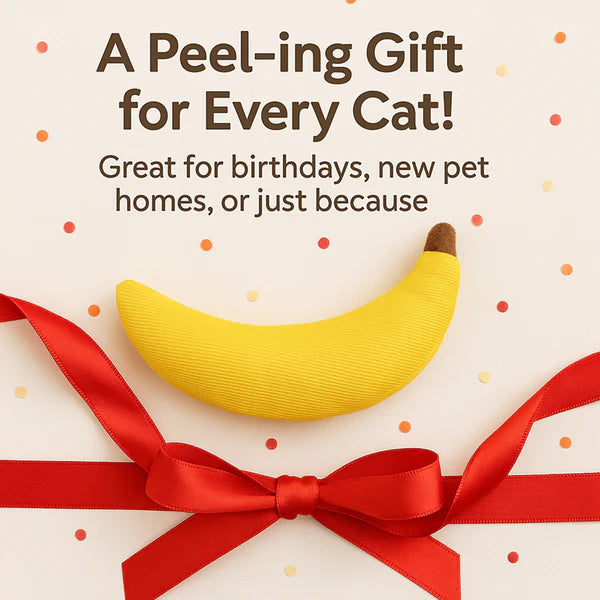 Talking Dog Club Bananas with 100% Catnip Toy for Cats (Yellow)