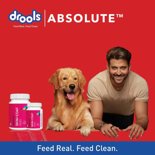 Drools Absolute Skin & Coat and Absolute Calcium Dog Supplement Tablets Combo