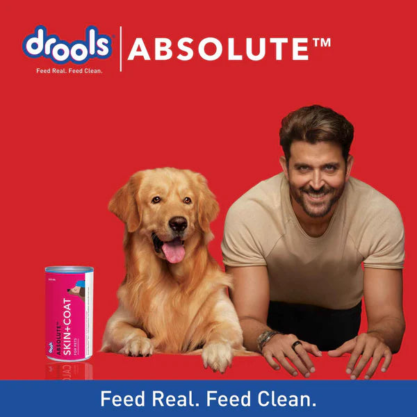 Drools Absolute Skin & Coat Syrup Supplement for Dogs