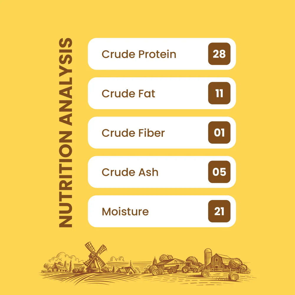 Dogfest Ostrich Medallions Dog Treats