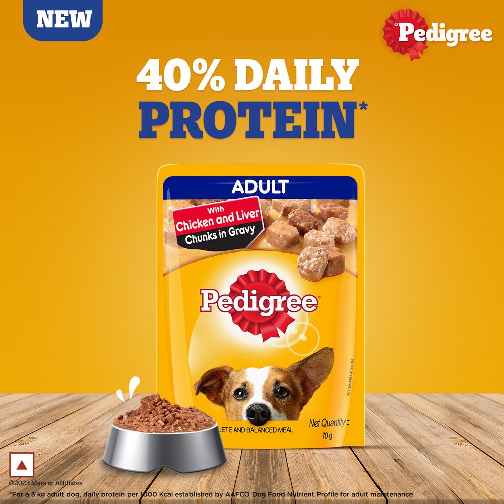 Pedigree PRO Expert Nutrition Active Adult (18 Months Onwards) Large Breed and Chicken and Liver Chunks in Gravy Wet Adult Dog Food Combo