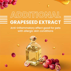 Bark Out Loud Glow and Shine Turmeric and Immunity Multi Vitamin Chew Stix for Dogs and Cats Combo