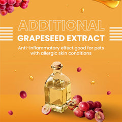 Bark Out Loud Glow and Shine Turmeric and Immunity Multi Vitamin Chew Stix for Dogs and Cats Combo