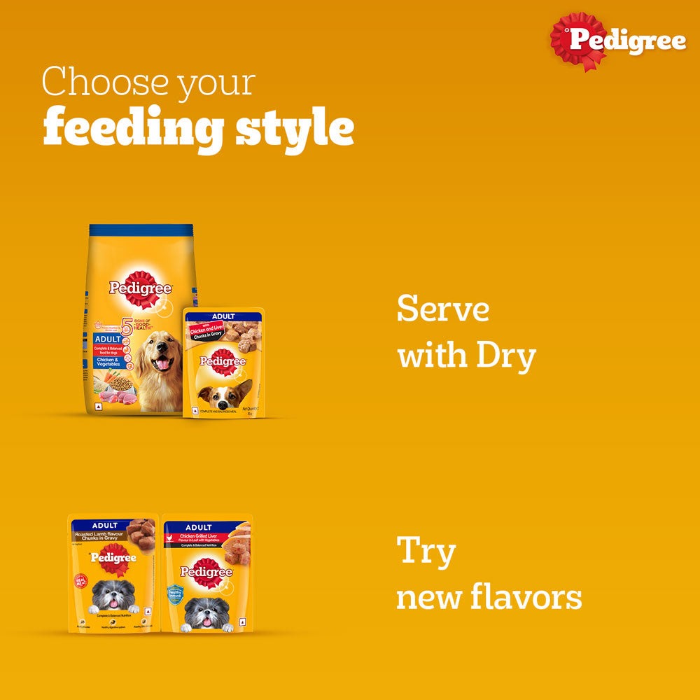 Pedigree PRO Expert Nutrition Active Adult (18 Months Onwards) Large Breed and Chicken and Liver Chunks in Gravy Wet Adult Dog Food Combo