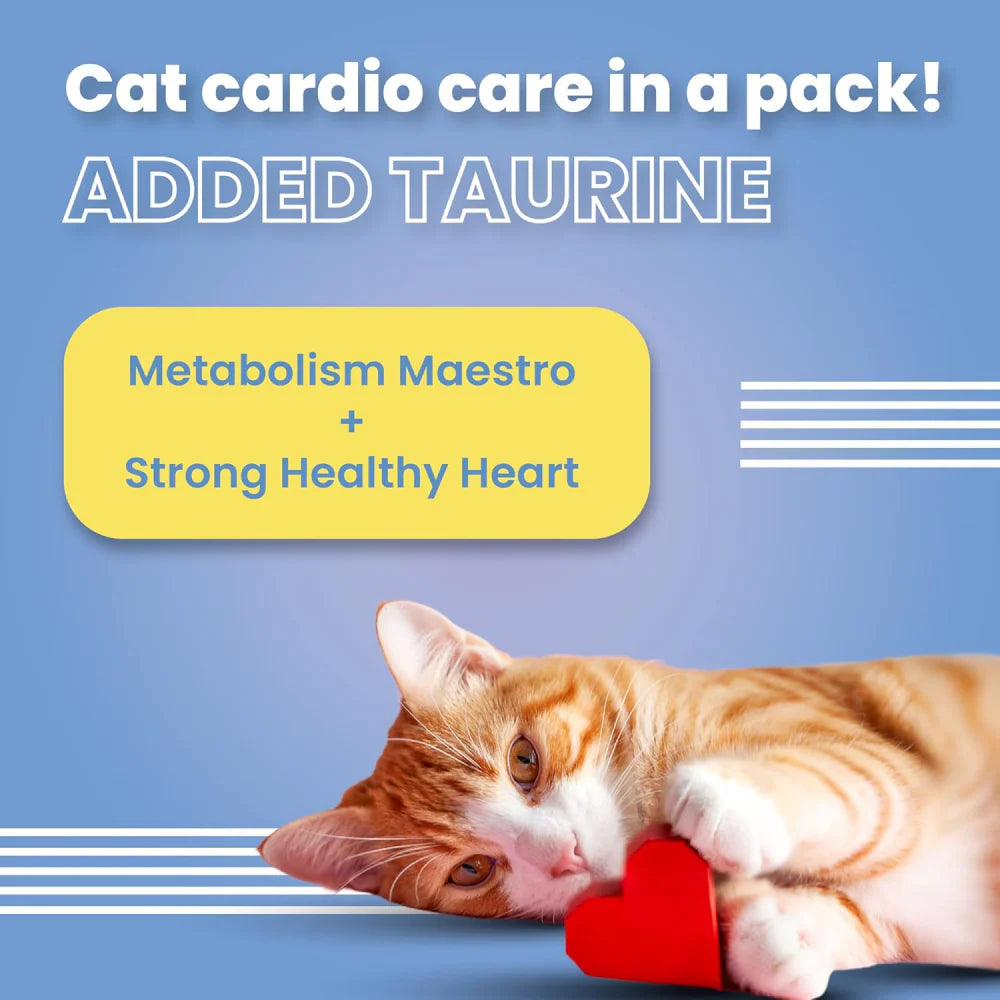 Bark Out Loud by Vivaldis Hairball Control and Sensitive Gut Pillow Cat Treats Combo