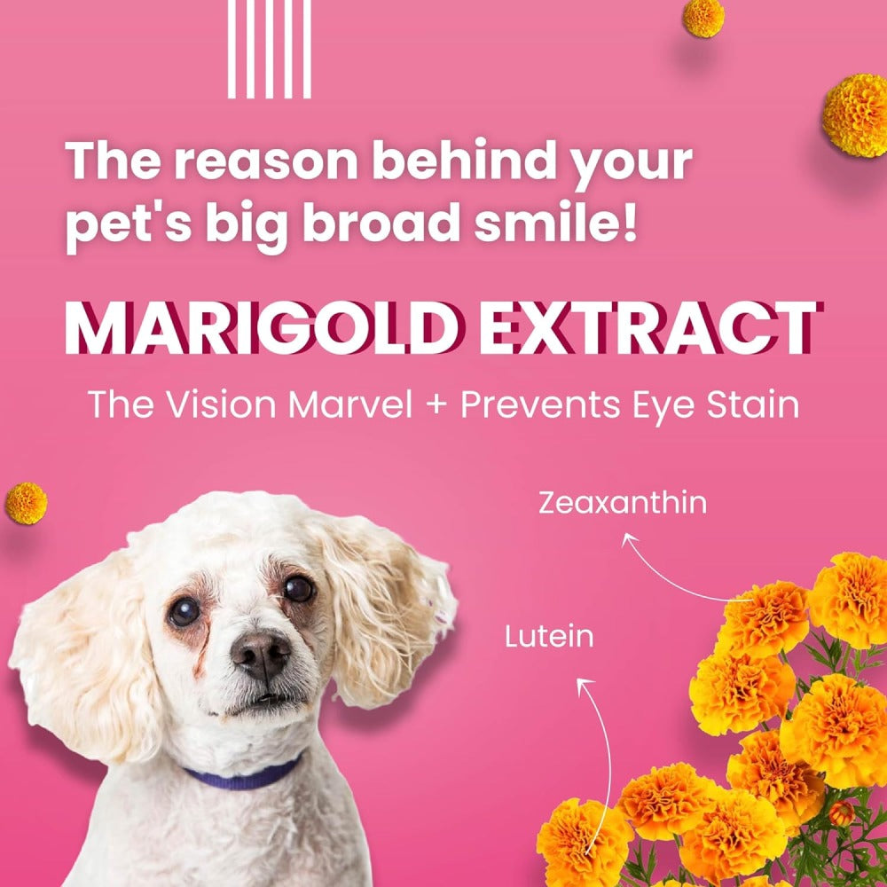 Bark Out Loud Tear Stains Eyebright Chew Stix Dog Treats