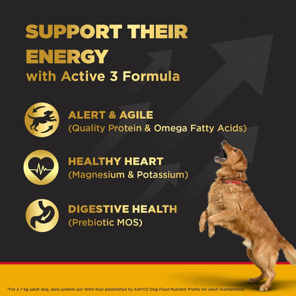 Pedigree PRO Expert Nutrition Active Adult (18 Months Onwards) Large Breed and Chicken and Liver Chunks in Gravy Wet Adult Dog Food Combo