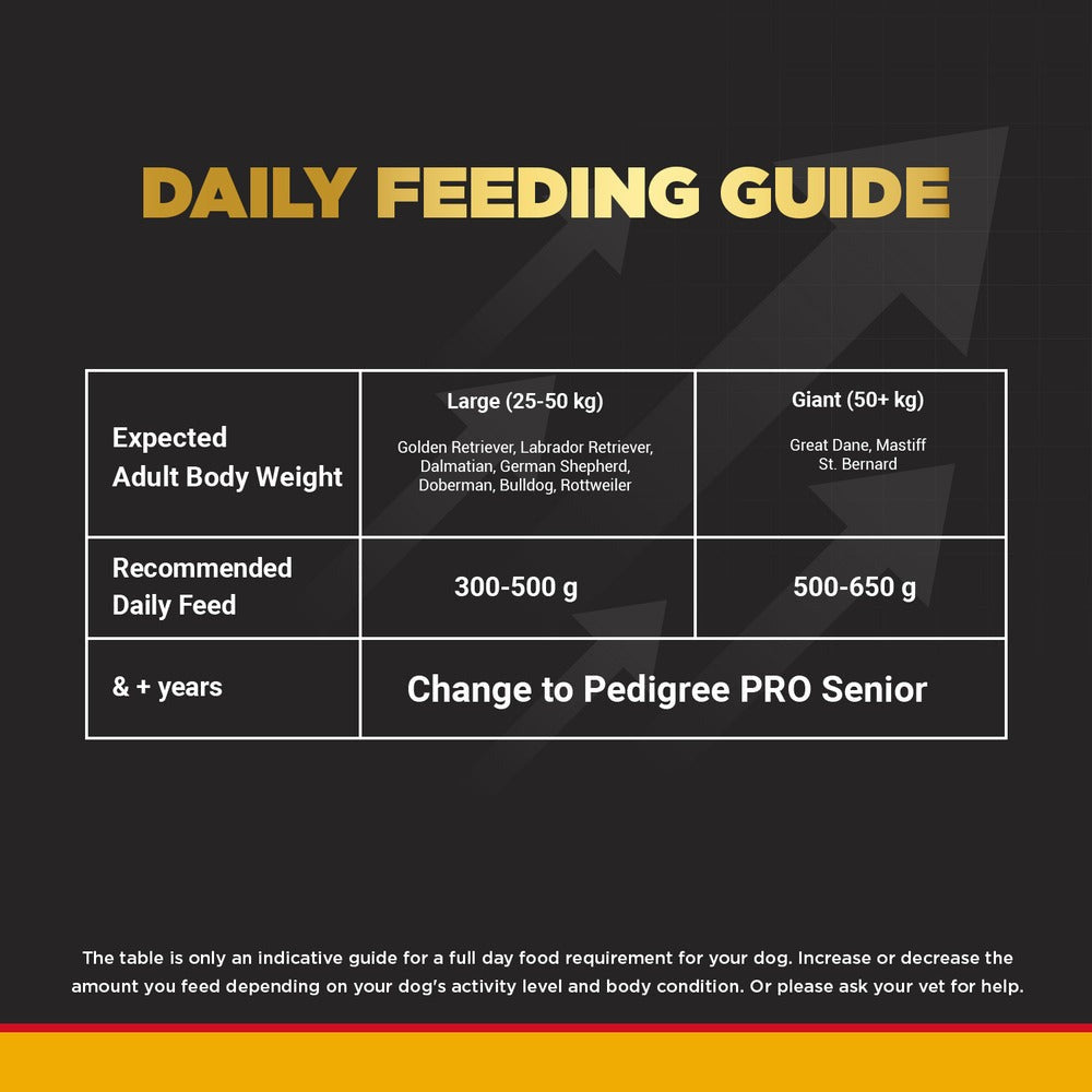 Pedigree PRO Expert Nutrition Active Adult (18 Months Onwards) Large Breed and Chicken and Liver Chunks in Gravy Wet Adult Dog Food Combo
