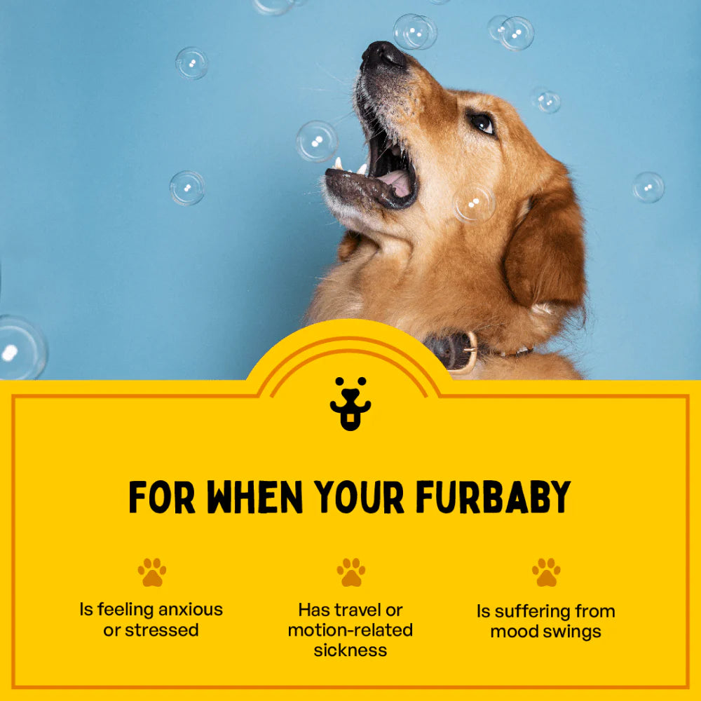 Furlicks Calming Aid for Cats and Dogs